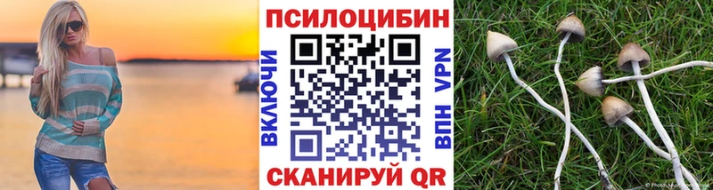ссылка на мегу ONION  Углегорск  Псилоцибиновые грибы GOLDEN TEACHER 